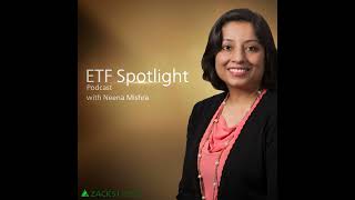 The Biggest ETF Stories of 2025 and the 2026 Outlook