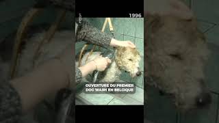 Ouverture du premier dog wash en Belgique en #1996 #archive #rtbf #shorts