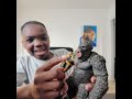 Hiya Kong Unboxing beast glove #godzilla #kong