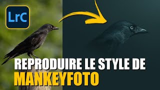 Reproduire le style de MANKEYFOTO avec LIGHTROOM 2023 ? 🤔