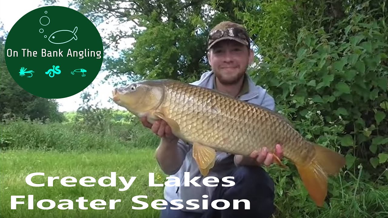 Surface fishing with dog biscuits Creedy lakes floater session Big