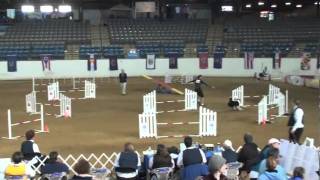 LC_AKC_Nationals Sun2011.m4v