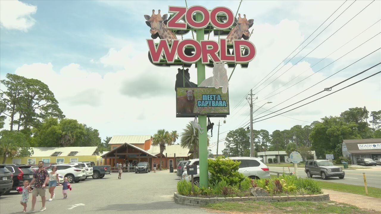 UPDATE: Animals harassed at Zoo World following a break-in