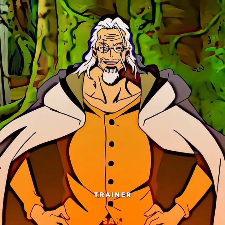 RAYLEIGH STARTS LUFFY'S TRAINING‼️