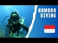 Komodo diving with uber scuba 