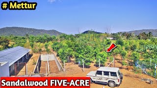 💯Sandalwood Trees🌳🛩️ Aeronautic farmer ,5️⃣ Acre Land | சந்தன மரம் 💯