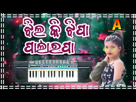 Jhilki jhipa palarapa ଝିଲ୍ କି ଝିପା ପାଲାରପା Koraputia Desia Instulment song @rkdigitalmusic3242