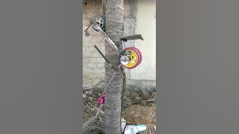Tree Climbing Robo BTech, MTech mechanical projects, Advaita projects call 9866548910