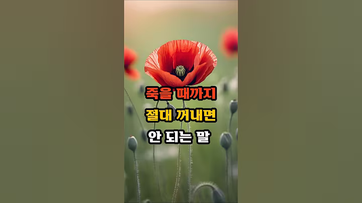 죽을 때까지 절대 꺼내면 안 되는 말 다섯가지  #명언 #긍정의말 #긍정적마인드 #좋은글 #지혜