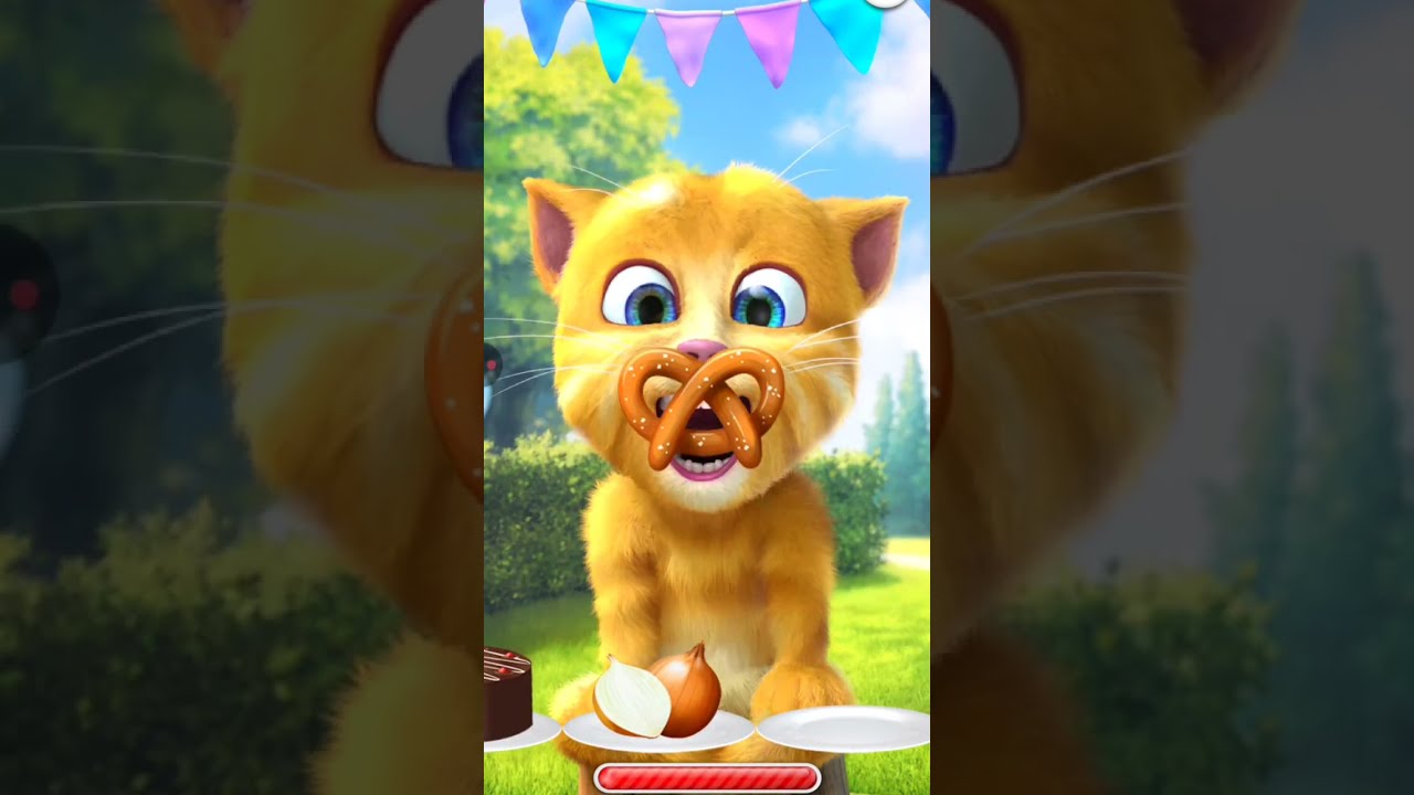 My Talking Ginger 🥀🛵🛵🥀🥀😅🙏😅😭💞💞💕💕💞😭🌳🏍️💋🌺🥳🤟❣️🥳❣️🌼🥳❣️🛵🌳🥀🛵😅🙏😭💞