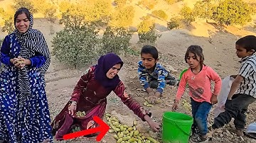Little Journey of Medina and Fariba  into the Mountains: A DayAmong Nomadic Children and Ripe Acorns