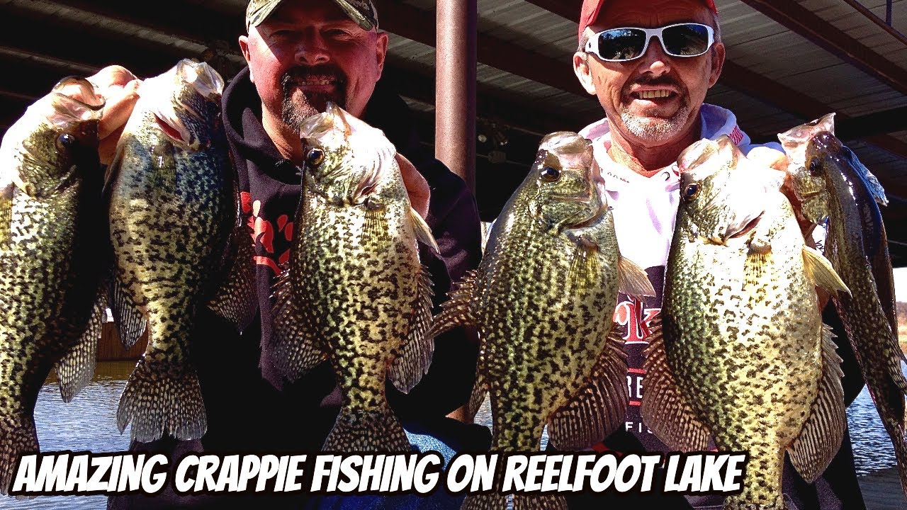 AMAZING CRAPPIE FISHING ON REELFOOT LAKE TENNESSEE- Full length episode