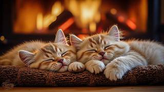 Calming Music for Cats to Stress Relief  🐈 Cat Anti Anxiety and Deep Relaxation Music screenshot 5