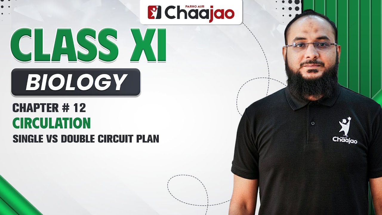 Схема с одной или двумя цепями