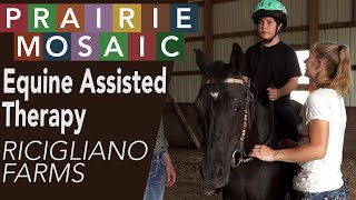 Equine Assisted Therapy: Ricigliano Farms