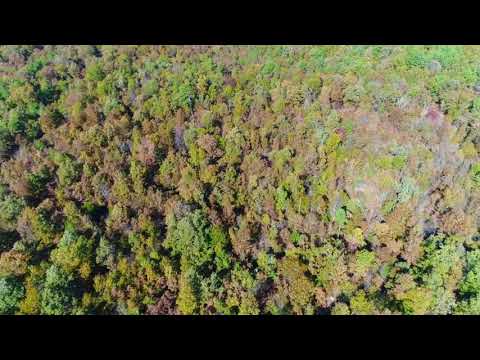 Video Drone PR05B Narrated
