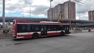 TTC BUS 15
