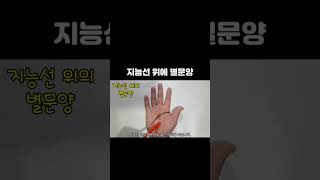 지능선 위에 별문양 무슨 의미일까? #손금 #건강운