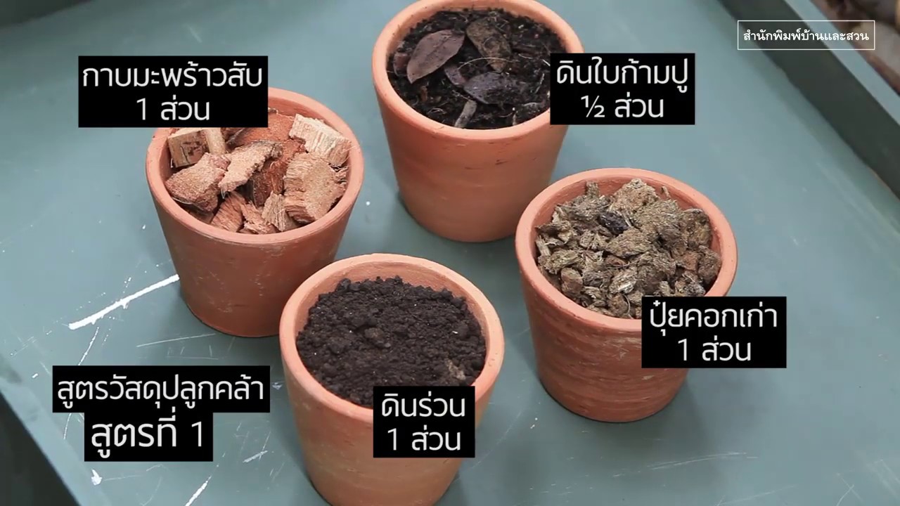 วัสดุปลูกไม้ประดับ (ฉบับปรับปรุง) - YouTube วัสดุปลูกไม้ประดับ (ฉบับปรับปรุง) - Youtube