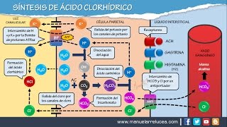 SÍNTESIS DE ÁCIDO CLORHÍDRICO (HCL)