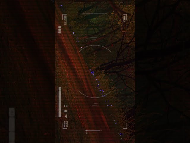 暮方山_201608■■ #shortvideo