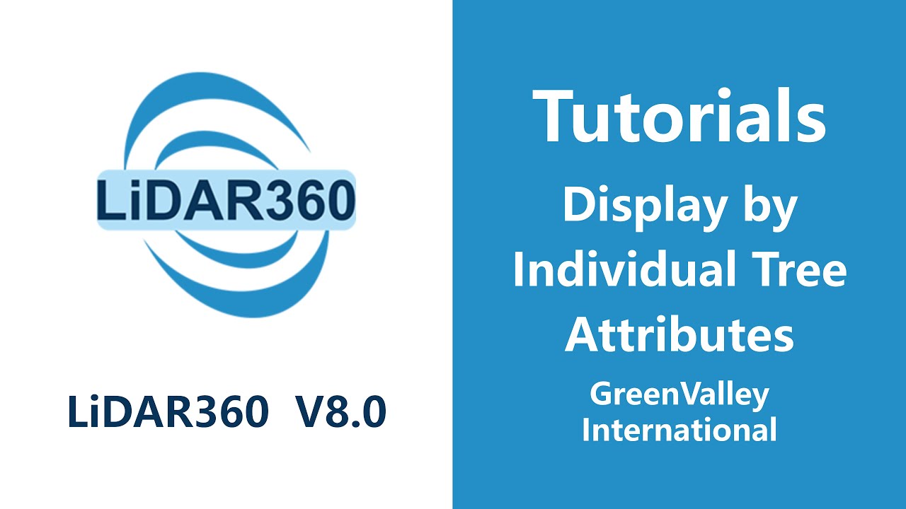 LiDAR360 V8 - Forestry | Display by Individual Tree Attributes LiDAR Software Tutorial