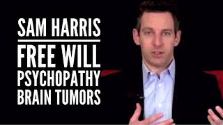 Famous Sam Harris on Brain Tumors, Psychopathy, & Free Will Wealth