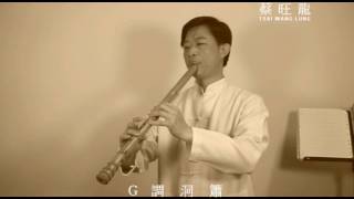 Download Lagu 換到千般恨／1979 年 港劇天蠶變插曲／Dong - Xiao／洞簫吹奏版 MP3