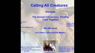 Calling All Creatures Presents The Animal Connection: Finding Calm Together