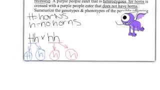 simple genetics practice video