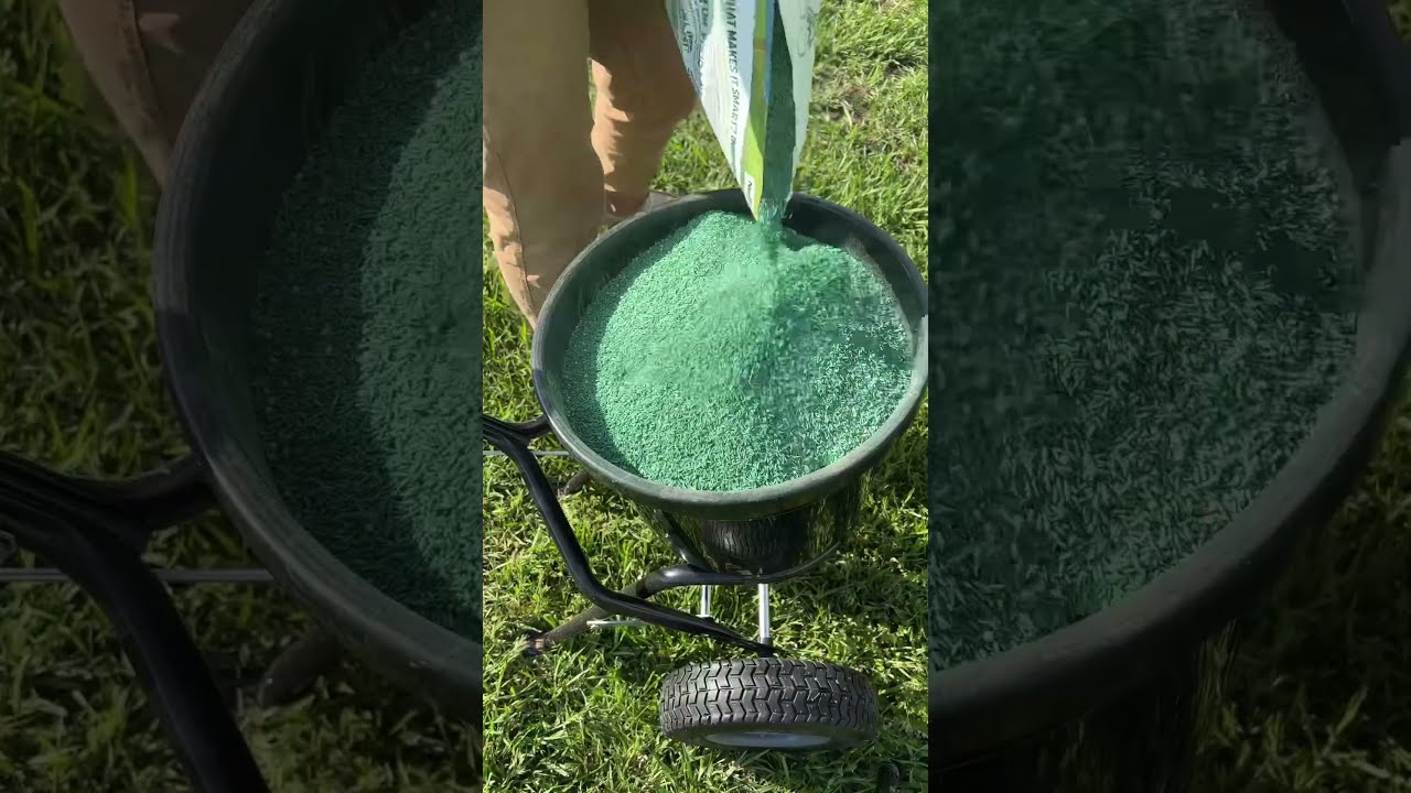 How To Fix Bare Thin Spots In Your Lawn Dslawnandlandscape Howtolawncare Lawncare