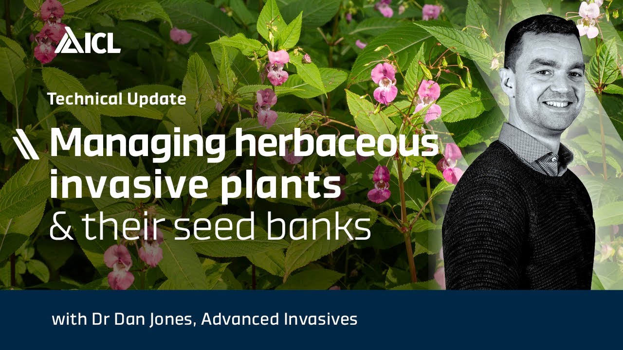 Managing Herbaceous Invasive Plants and their Seed Banks