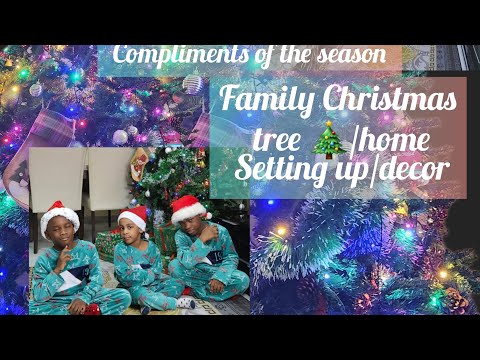 Merry Christmas/Gifts/Christmas tree/ family @JoyIjeomaworld