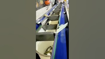 High - speed Sorting Equipment Operation Stuns the Scene