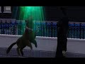 A Sims 3 Let's Play | Episode 20: Bringing Boinks to Life & Saying Goodbye to Ocelot