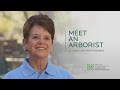 Meet an Arborist