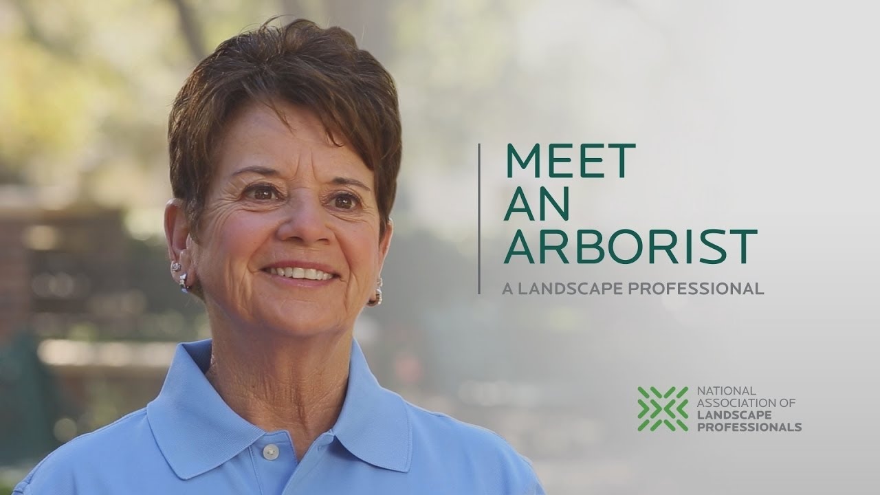 Meet an Arborist