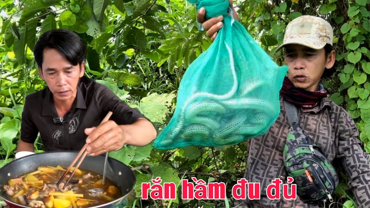 Thưởng Thức Những Con Rắn Dính Bẫy Hầm Đu Đủ