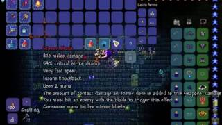 Terraria Ceasless Void Fight