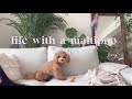 Life with a Maltipoo 🐾💕 Saturday vlog 🐻⚡️🪴💜