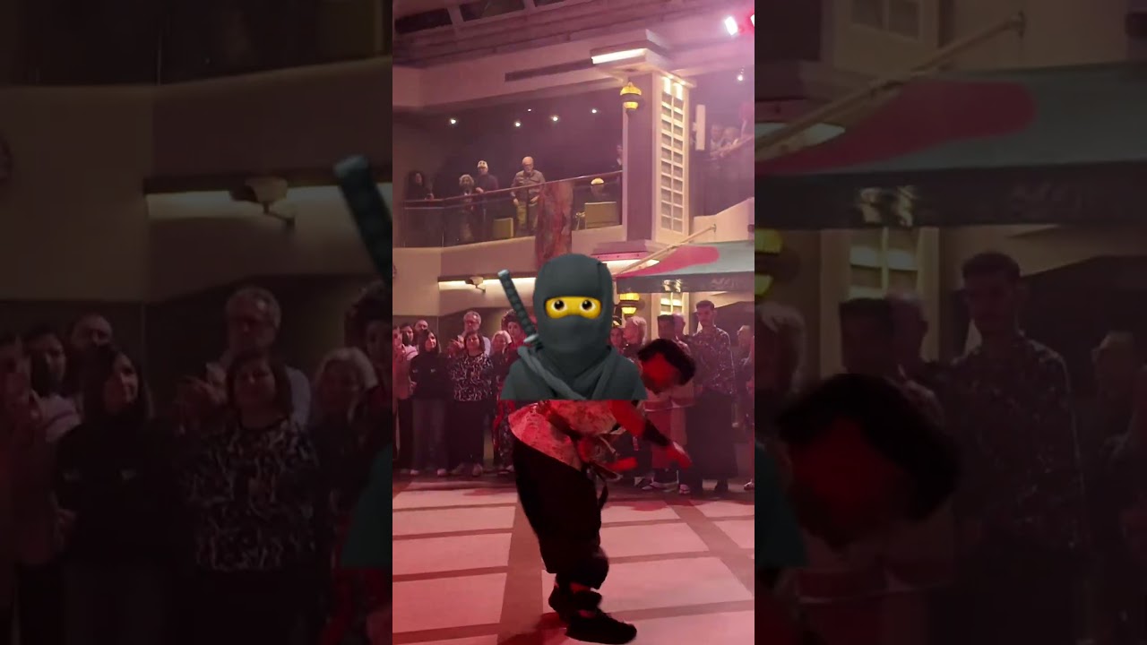 Samurai Ninja