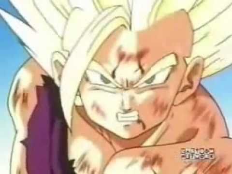 Gohan vs Cell AMV New Divide