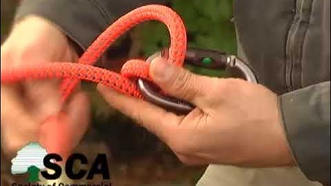 Anchor knot for tree care workers