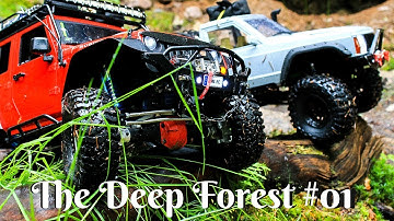 The Deep Forest #01 [Axial scx10 Jeep Wrangler Rubicon & Jeep Comanche]