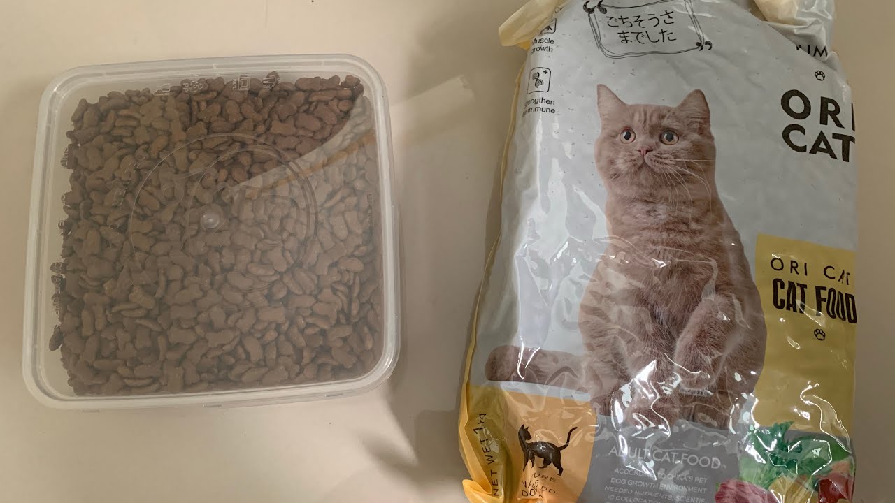 Cobain Makanan Kucing Ori cat YouTube