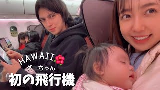 【ハワイ🌺】グーちゃんと初の飛行機✈️でクリスマス旅行【5人家族】