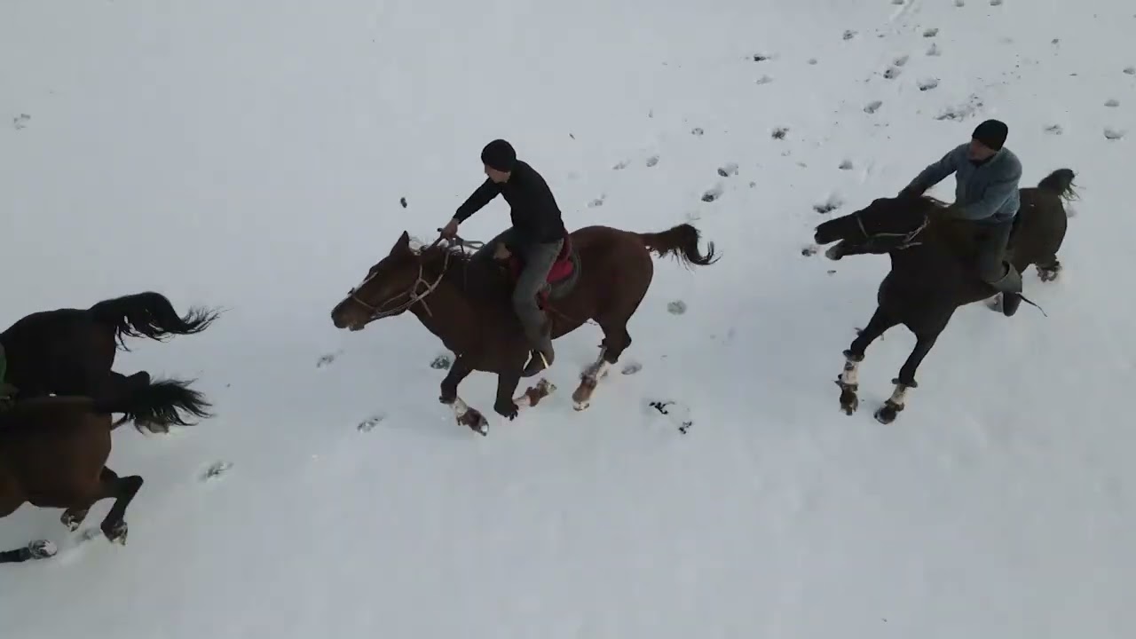 26.02.2025ж. Жолаев Уалихан әкеміздің 60 жас мерей тойына арналған көкпар тойы