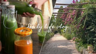 Daily life vlog | Finland, Healthy Bounty Bars, Juicing, Croatia & Montenegro Highlights