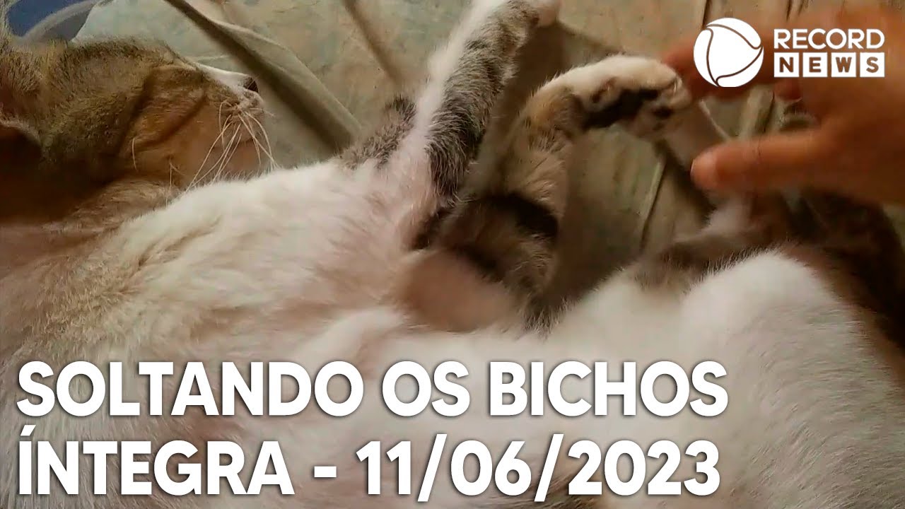 Soltando os Bichos – 11/06/2023