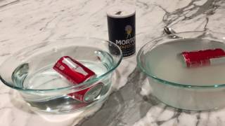 UNIT 4 BZ LAYER- Water Salinity Lab